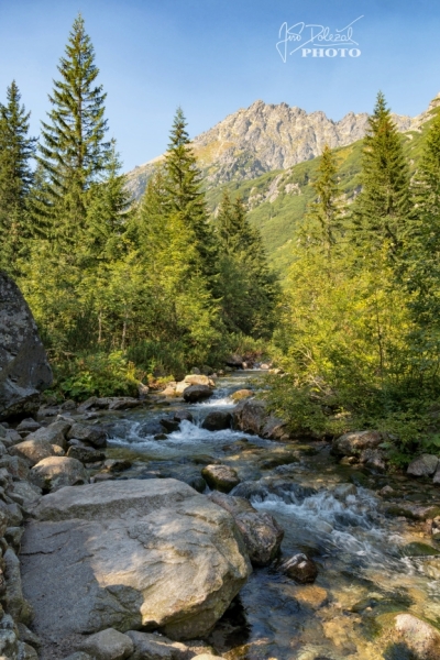 JDO_3434